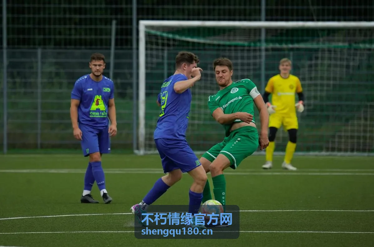 新手玩家常见问题与社区高频回复封面