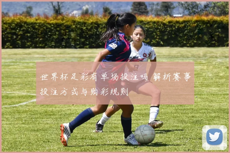 世界杯足彩有单场投注吗 解析赛事投注方式与购彩规则